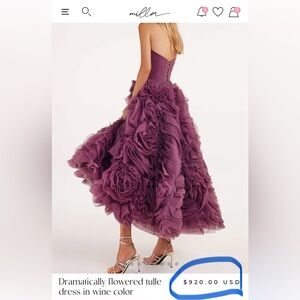 Just worn once! Dramatically flowered tulle dress (original price is $920)